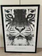 Poster met lijst - Tijger, Huis en Inrichting, Woonaccessoires | Schilderijen, Tekeningen en Foto's, Ophalen, Zo goed als nieuw