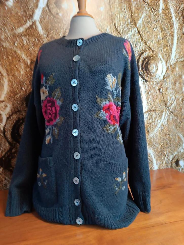 💖Prachtig  Alpaca wollen Vest XL XXL, Kleding | Dames, Truien en Vesten, Zo goed als nieuw, Maat 46/48 (XL) of groter, Grijs