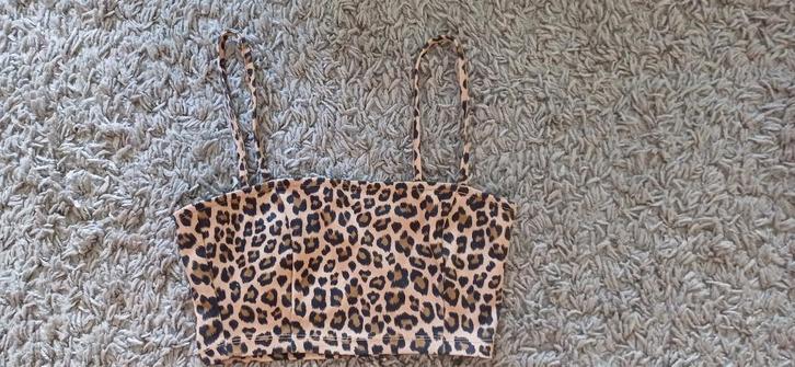 Topje panter-tijger maat XS H&M Devided, als nieuw, Kleding | Dames, Tops, Zo goed als nieuw, Maat 34 (XS) of kleiner, Overige kleuren