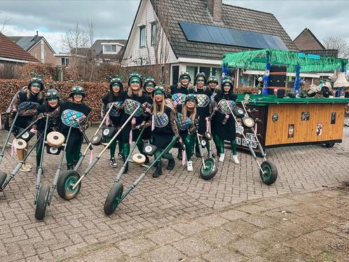 Loopgroep carnaval “BROMVLIEG”, Kleding | Dames, Carnavalskleding en Feestkleding, Gedragen, Ophalen