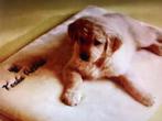 Kenko Pet Pad - Nikken, Ophalen of Verzenden, Zo goed als nieuw