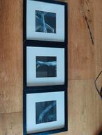 Fotolijsten Sannahed 25x25 zwart (3 stuks), Ophalen of Verzenden, Zo goed als nieuw