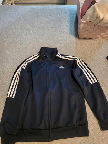 Blauw adidas vest maat 164 beschikbaar voor biedingen