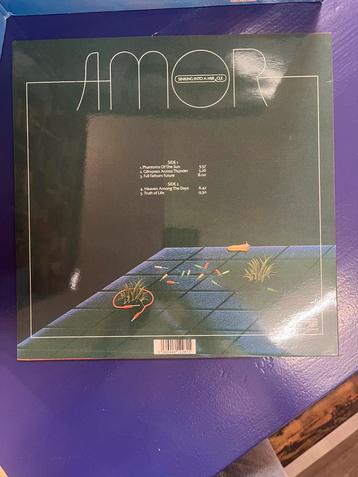 Sam Amidon ‎– The Following Mountain  LP beschikbaar voor biedingen