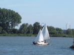 Zalmschouw,zalmdrijver . Zeilschouw, Watersport en Boten, Ophalen, Gebruikt, Staal, Tour-wedstrijdjacht