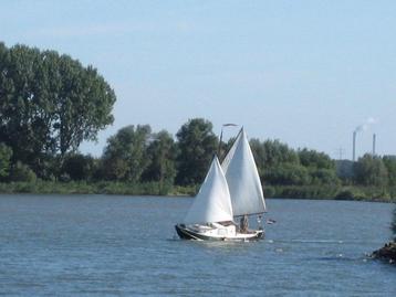 Zalmschouw,zalmdrijver . Zeilschouw beschikbaar voor biedingen