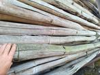 Gratis bamboo grote partij, Ophalen of Verzenden, Zo goed als nieuw, 250 cm of meer, Palen