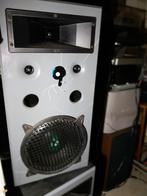 3 weg bas reflex Boxen 250W, 8Ohm, Cat Sound model McCrypt 1, Overige merken, Gebruikt, Ophalen of Verzenden, Nb
