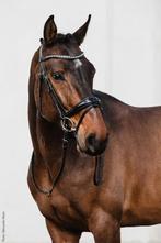 Hoofdstel, Dieren en Toebehoren, Paarden en Pony's | Hoofdstellen en Tuigage, Ophalen of Verzenden, Zo goed als nieuw, Dressuur