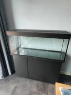Prachtig Juwel RIO 240 Aquarium; kan bezorgen evt., Ophalen, Zo goed als nieuw, Leeg aquarium