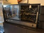 Terrarium 75x40x40, Dieren en Toebehoren, Reptielen en Amfibieën | Toebehoren, Ophalen, Gebruikt, Terrarium of Paludarium