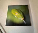 Schilderij, Ophalen, Zo goed als nieuw, Foto of Poster, Minder dan 50 cm