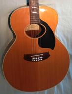 Epiphone NO-245 Norlin, Ophalen, Gebruikt, Western- of Steelstringgitaar
