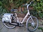 Giant Twist Double - Elektrische Fiets, Fietsen en Brommers, Elektrische fietsen, Ophalen, Gebruikt, Giant, 51 tot 55 cm