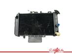 RADIATEUR Hyosung Comet GT650 R (GT650R) (01-1970/-), Gebruikt