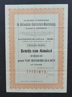 De Hollandsche Electriciteits Maatschappij, Postzegels en Munten, Aandelen en Waardepapieren, Verzenden, Voor 1920, Aandeel