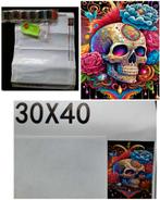 Diamond Painting Schedel 30x40cm, Hobby en Vrije tijd, Knutselen, Ophalen of Verzenden, Nieuw, Knutselwerk