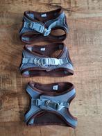 3 honden tuigjes voor kleine puppy, Ophalen of Verzenden