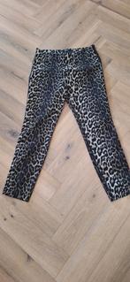 Gardeur panterbroek maat 40, Kleding | Dames, Broeken en Pantalons, Maat 38/40 (M), Ophalen of Verzenden, Zo goed als nieuw, Gardeur