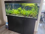 Juwel Rio 240 led met onderkast zwart, Ophalen, Gebruikt, Gevuld zoetwateraquarium