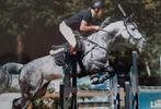 Stalling, Dieren en Toebehoren, Stalling en Weidegang, Stalling