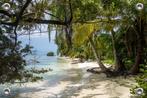 Tuinposter-Schuttingposter Strand met Palmbomen 120x80 cm, Tuin en Terras, Tuinwanddecoratie, Verzenden, Nieuw, Info@goodsmiling.com