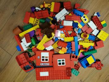 duplo beschikbaar voor biedingen