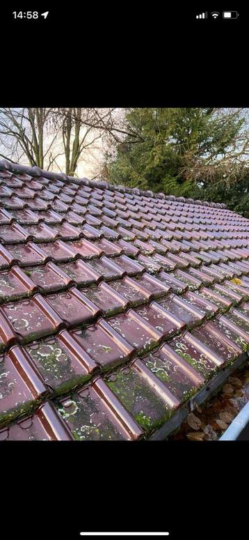 Oude bruine geglazuurde Tuile du Nord dakpannen  beschikbaar voor biedingen