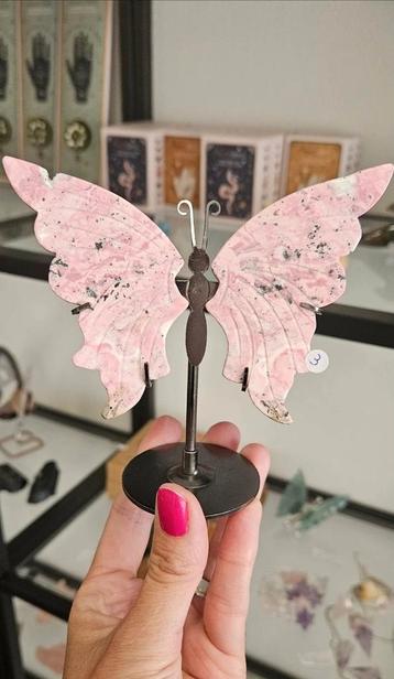 Rhodoniet vlinders beschikbaar voor biedingen