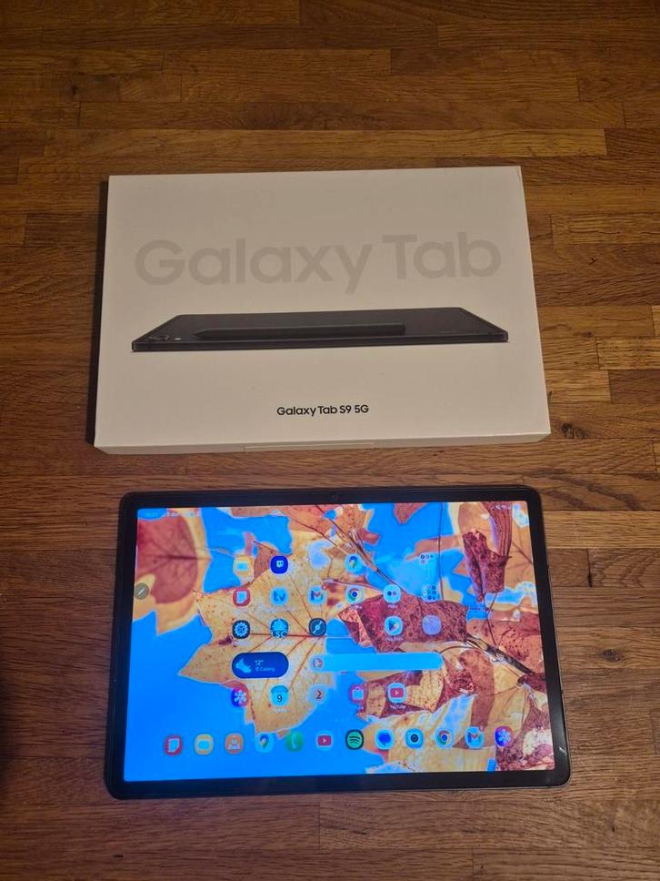Samsung Galaxy Tab S9 - 256GB 5G, Computers en Software, Android Tablets, Zo goed als nieuw, Ophalen of Verzenden