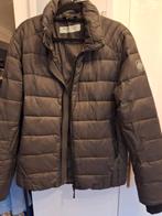 Replay Herenjas - Maat l, Maat 52/54 (L), Bruin, Ophalen of Verzenden, Zo goed als nieuw