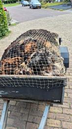 Schapenwol, Ophalen, Zo goed als nieuw, Spinwol