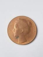 NBVLO Nijmegen mars vierdaagse groepsprijs medaille, Postzegels en Munten, Munten | Nederland, Ophalen of Verzenden, Vóór koninkrijk