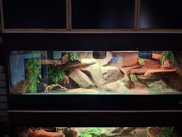 Groot betonplex terrarium  beschikbaar voor biedingen