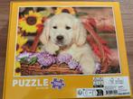 Puzzel 1000 stukjes - Puppy Golden Retriever Hond, Ophalen of Verzenden, 500 t/m 1500 stukjes, Zo goed als nieuw, Legpuzzel