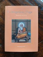 Wegwijs in yoga, Boeken, Esoterie en Spiritualiteit, Ophalen of Verzenden, Zo goed als nieuw, Meditatie of Yoga, Instructieboek