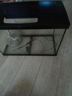 Aquarium met grind en verlichting NU 20 euro/ alleen ophalen, Ophalen of Verzenden, Zo goed als nieuw, Verlichting of Verwarming