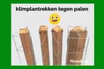 Klimplantrekken  tegen planken en balken, Ophalen of Verzenden, Nieuw, 250 cm of meer, Planken