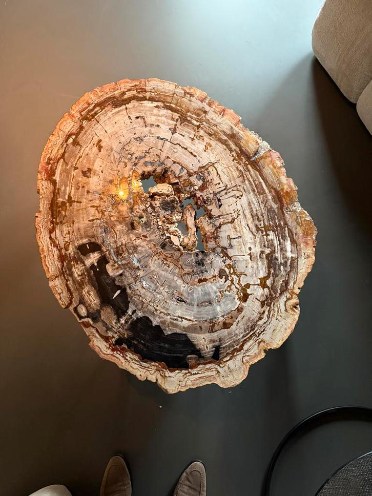 Unieke salontafel versteende boomstam + bloktafel, Huis en Inrichting, Tafels | Salontafels, Gebruikt, Minder dan 50 cm, 50 tot 100 cm