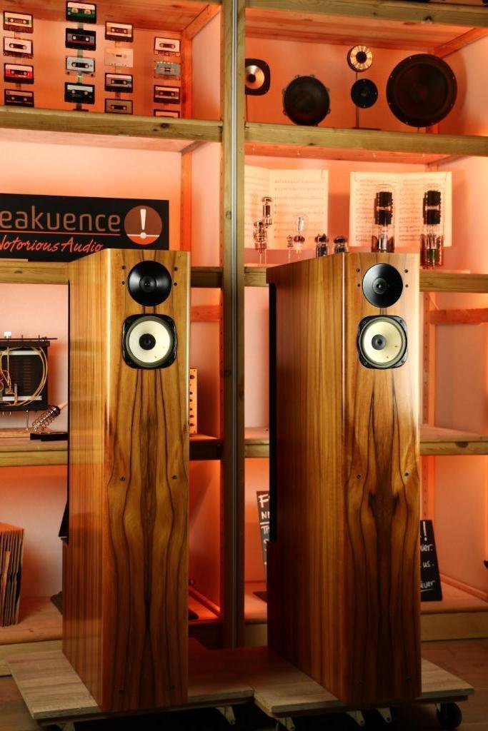 Horning Eufrodite MK2 / MK 2 TRADE.INRUIL High dB* Sessie?, Audio, Tv en Foto, Luidsprekers, Zo goed als nieuw, Front, Rear of Stereo speakers