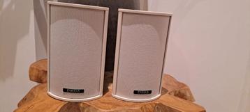 Piega TMicro 3 Luidsprekers - Topkwaliteit! beschikbaar voor biedingen