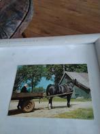 ENTER. WOLVEWEG. 1980, Ophalen of Verzenden, 1960 tot 1980, Drenthe