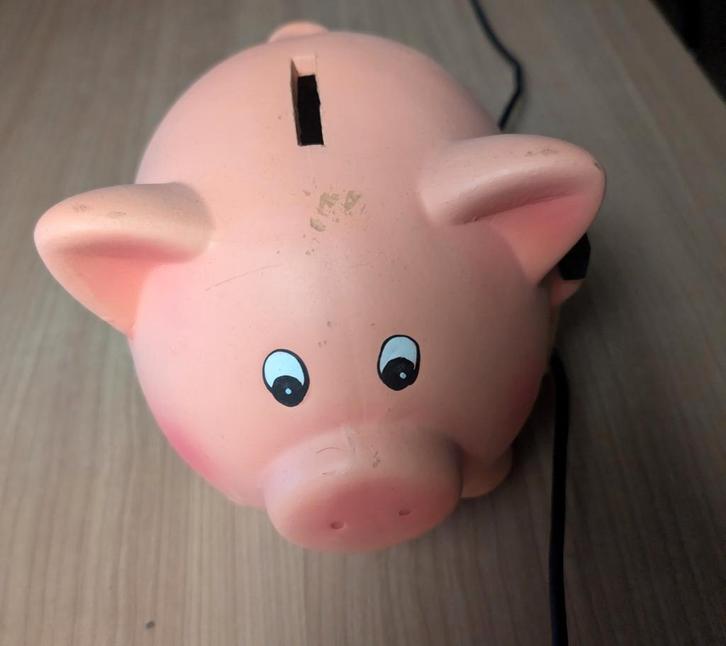 Groot Spaarvarken, Verzamelen, Spaarpotten, Gebruikt, Dier, Steen, Aardewerk of Keramiek, Ophalen of Verzenden