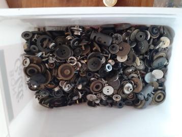 Te koop Knopen ed. beschikbaar voor biedingen