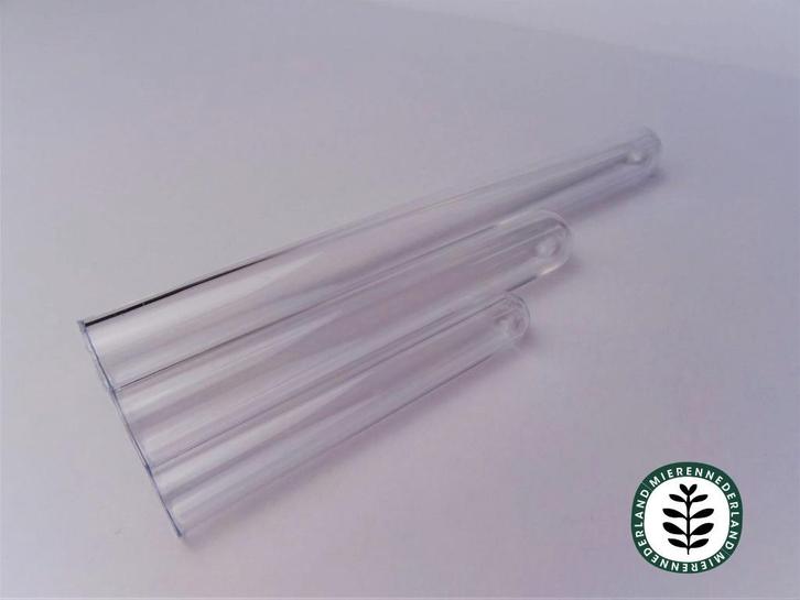Kunststof reageerbuis | Klein | Ø 12x75mm, Dieren en Toebehoren, Insecten en Spinnen, Mieren