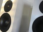 ELTIM CA-621 kloon paartje (oorspr nieuwpr origineel €2400), Front, Rear of Stereo speakers, Ophalen of Verzenden, Zo goed als nieuw