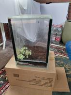 Izgst insecten terrarium, Dieren en Toebehoren, Reptielen en Amfibieën | Toebehoren, Ophalen, Zo goed als nieuw, Terrarium of Paludarium
