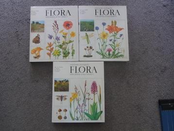 Nederlandse oecologische Flora  deel 1, 4 en 5 beschikbaar voor biedingen
