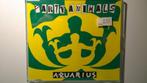 Party Animals - Aquarius, Maxi-single, Dance, Ophalen of Verzenden, Zo goed als nieuw