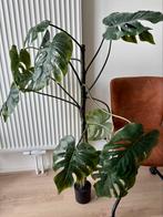 Grote kunstplant Monstera, Ophalen